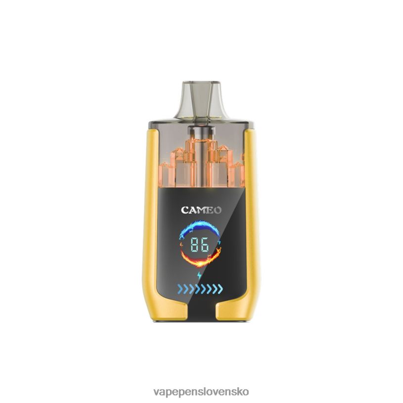 80N2621 Vape Shop Bratislava - mangový ľad LAVIE CAMEO 30 000 ťahov