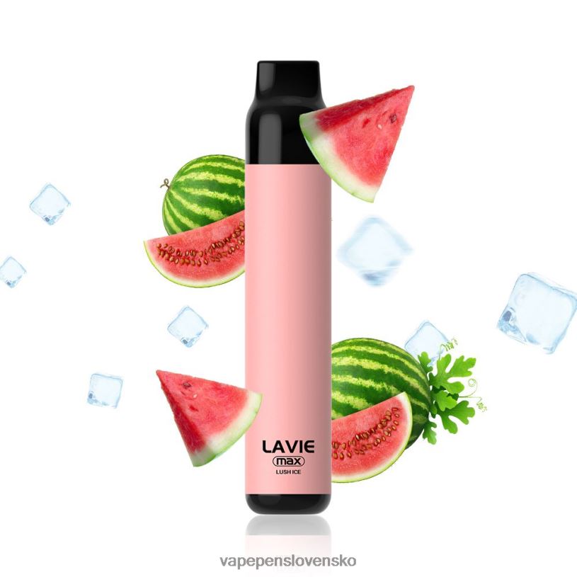 80N26277 Vape Slovensko - svieži ľad LAVIE BAR 5000 ťahov - max